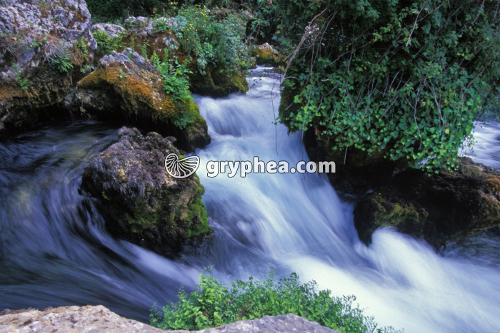 Résurgence Isle sur Sorgues - gryphea.com